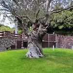 Hébergement de vacances Casa Bados Dorgali